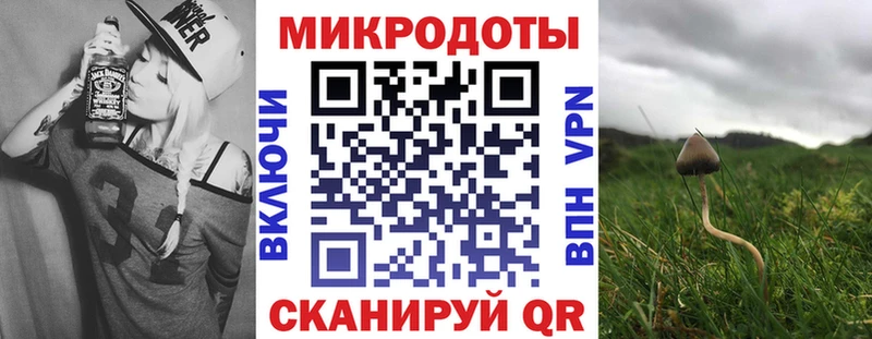 Купить где  Юрюзань  Псилоцибиновые грибы ЛСД 